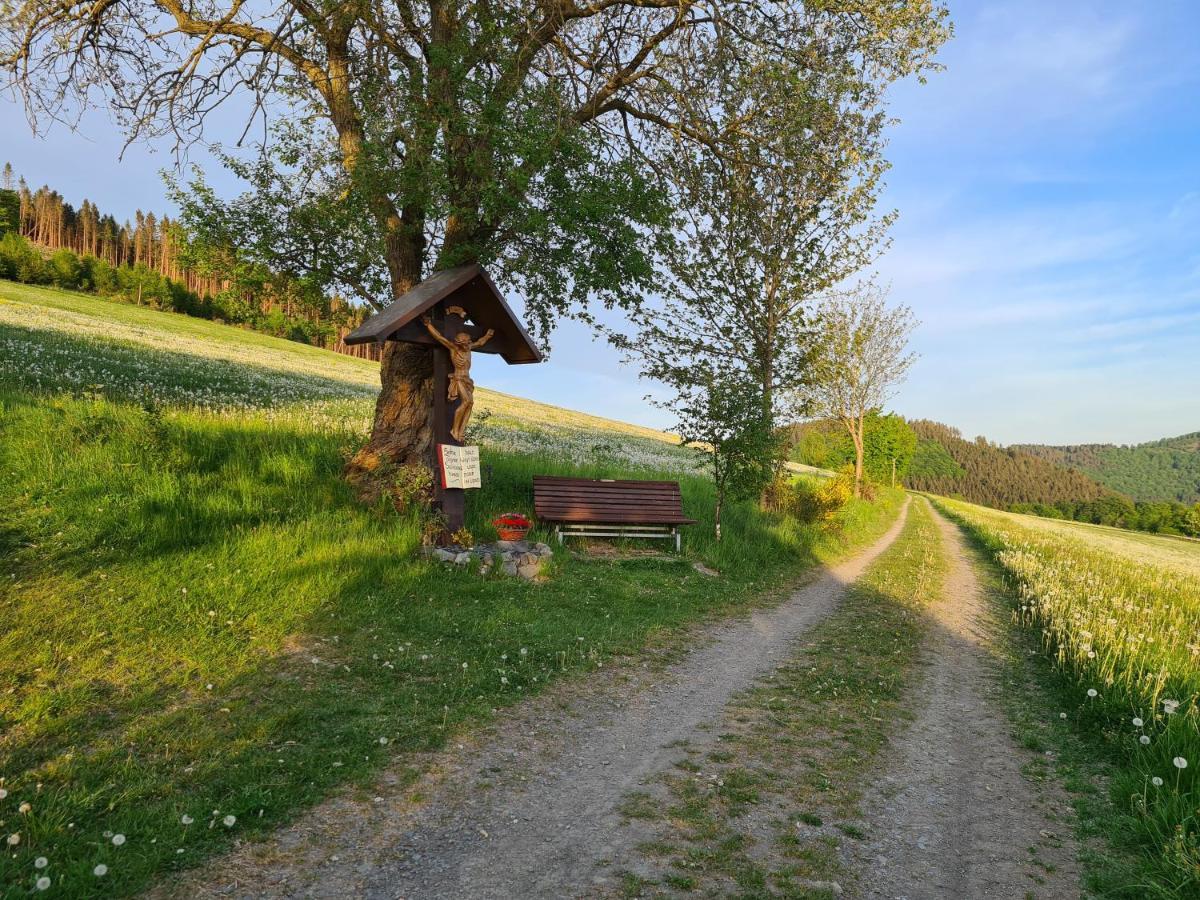 Ferienwohnung Hennemann Schmallenberg Exteriör bild