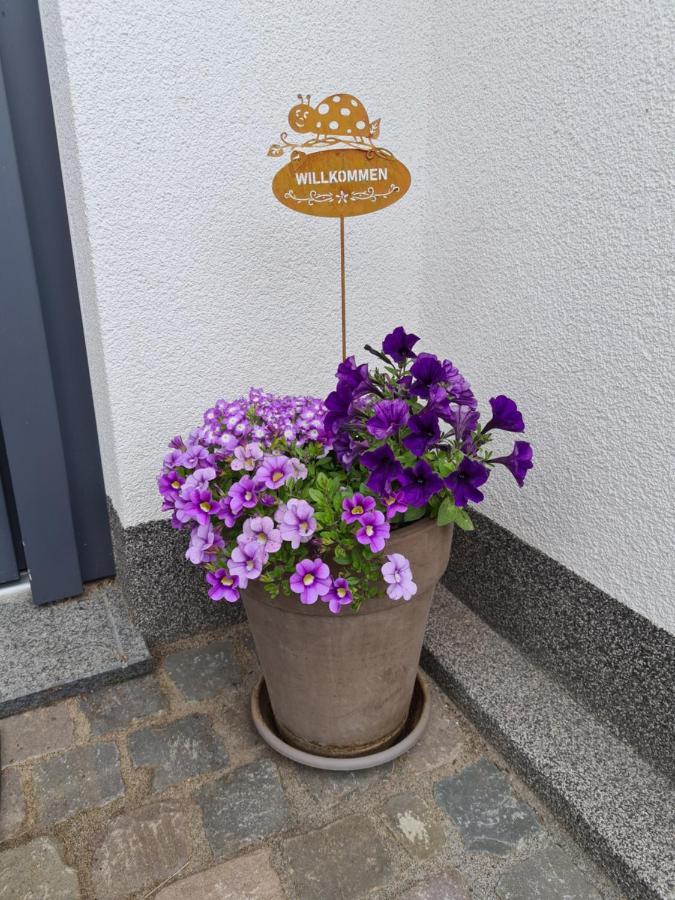 Ferienwohnung Hennemann Schmallenberg Exteriör bild